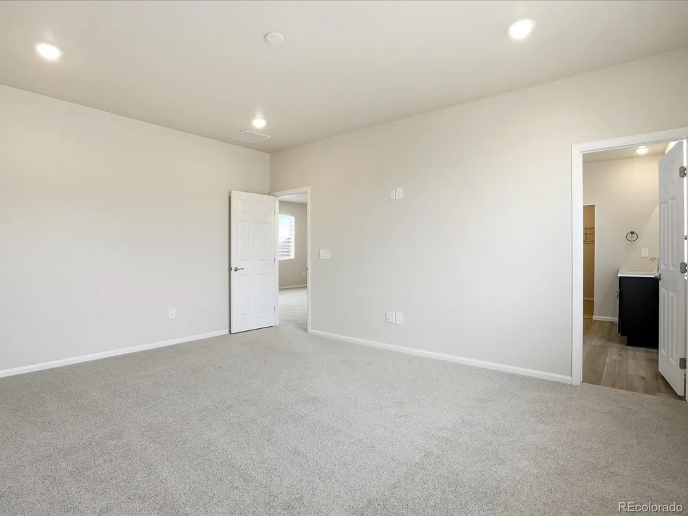 1606 Nathan River Drive Windsor, CO 80550