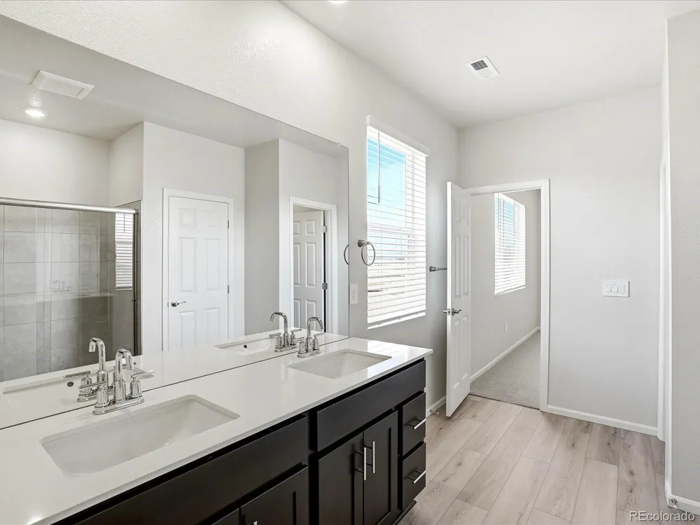 1606 Nathan River Drive Windsor, CO 80550