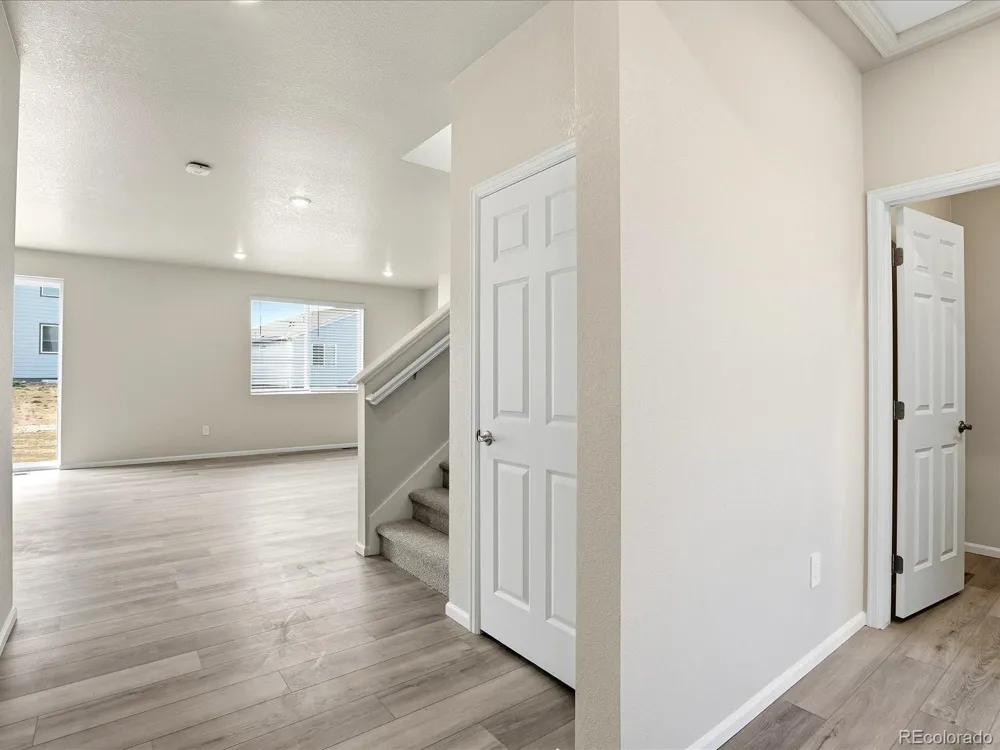 1606 Nathan River Drive Windsor, CO 80550