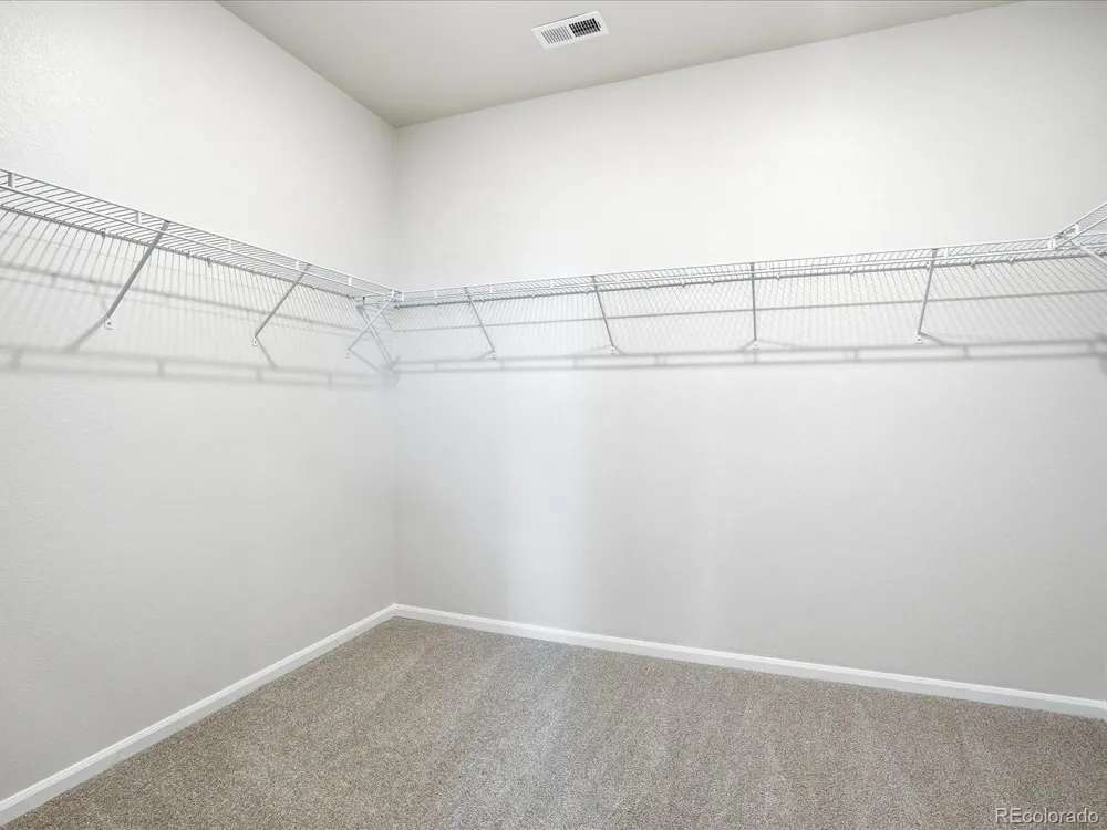 1606 Nathan River Drive Windsor, CO 80550