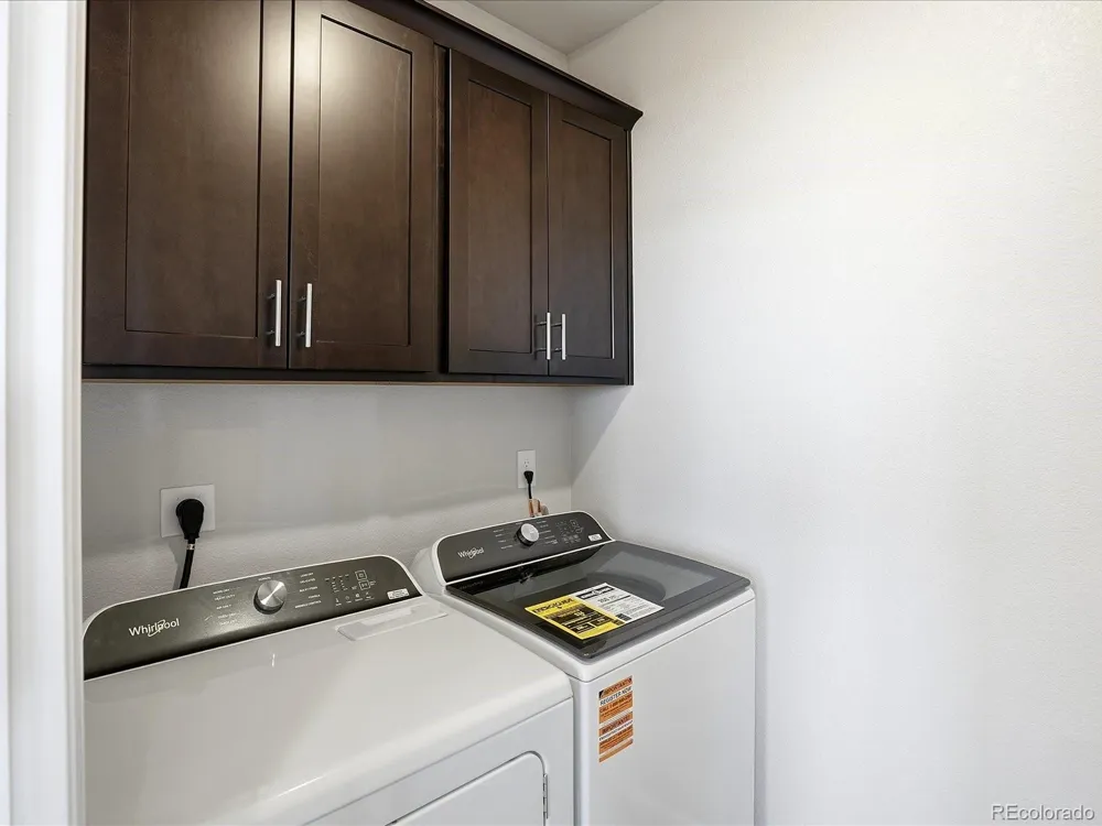 1606 Nathan River Drive Windsor, CO 80550