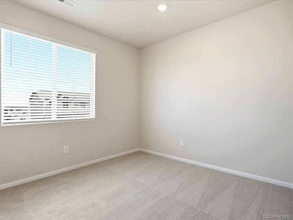 1606 Nathan River Drive Windsor, CO 80550
