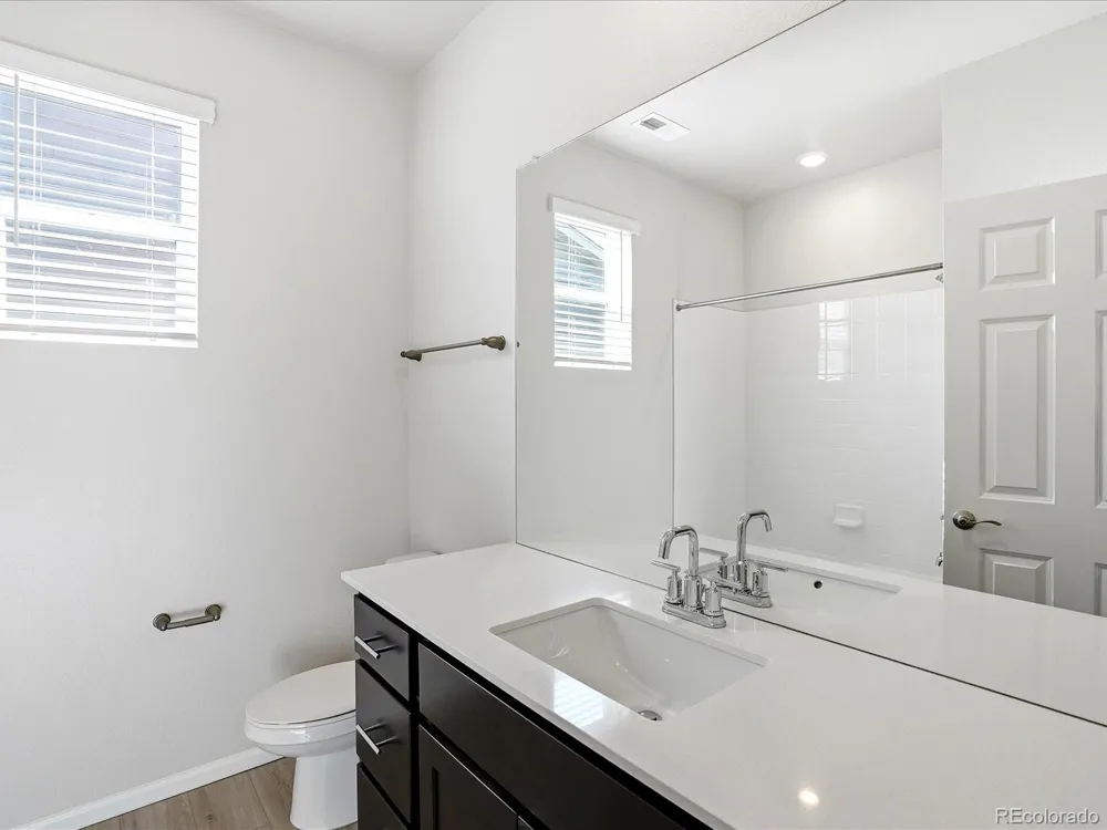 1606 Nathan River Drive Windsor, CO 80550