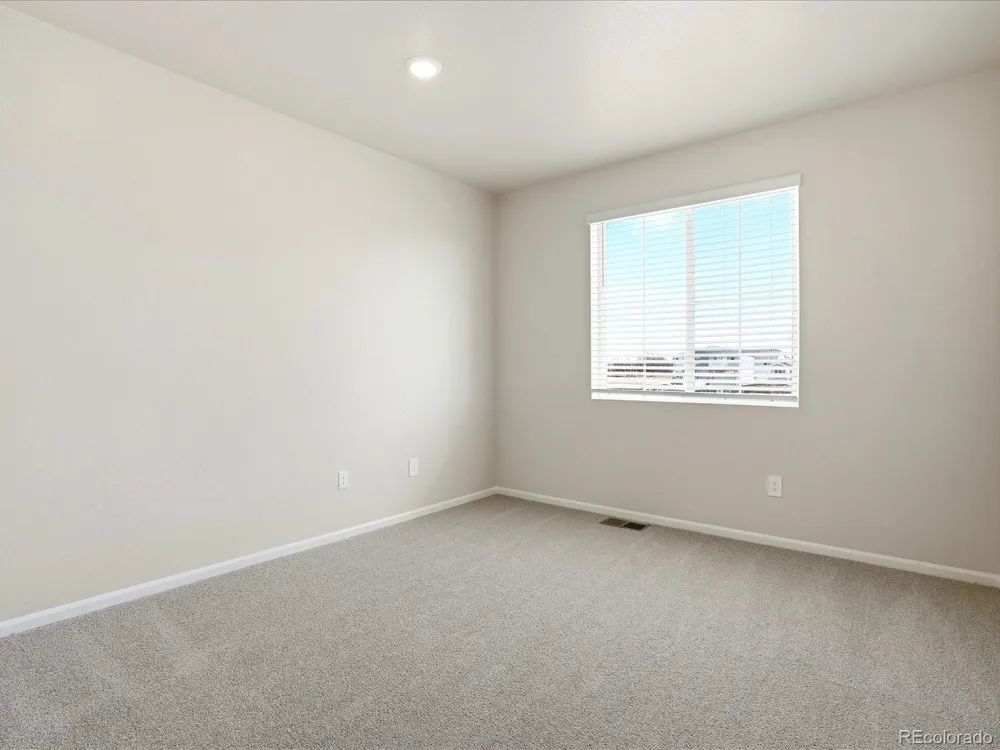 1606 Nathan River Drive Windsor, CO 80550