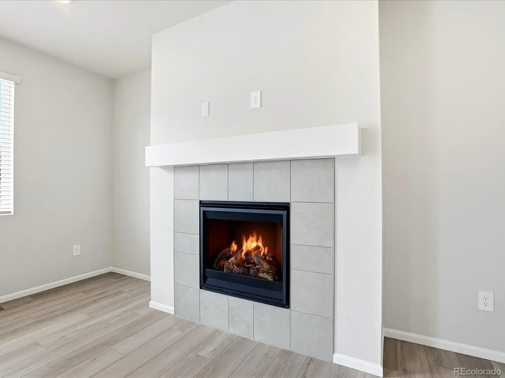 1606 Nathan River Drive Windsor, CO 80550