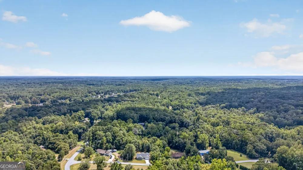 15 Salem Branch DR Covington, GA 30016