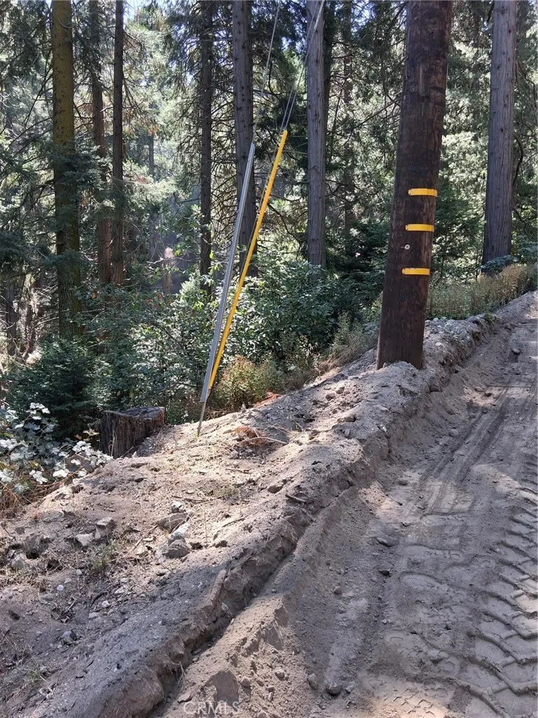 14 Burnt Mill Canyon Road Cedarpines Park, CA 92322
