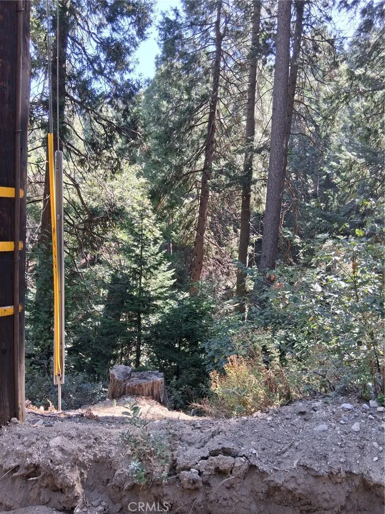 14 Burnt Mill Canyon Road Cedarpines Park, CA 92322
