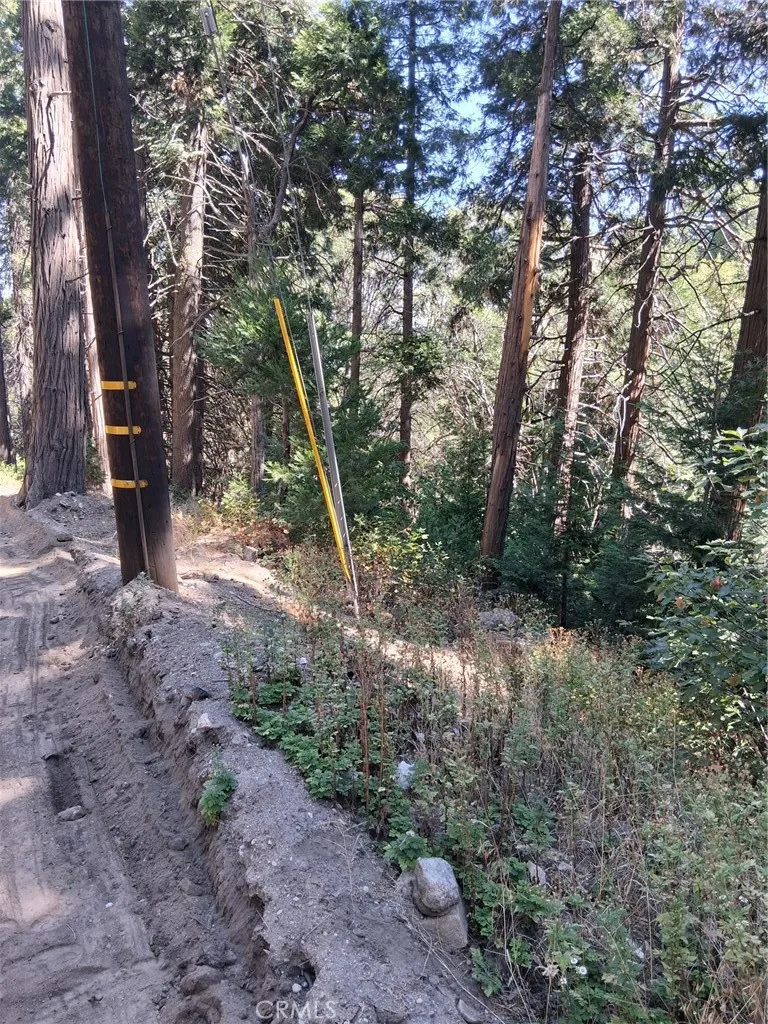 14 Burnt Mill Canyon Road Cedarpines Park, CA 92322