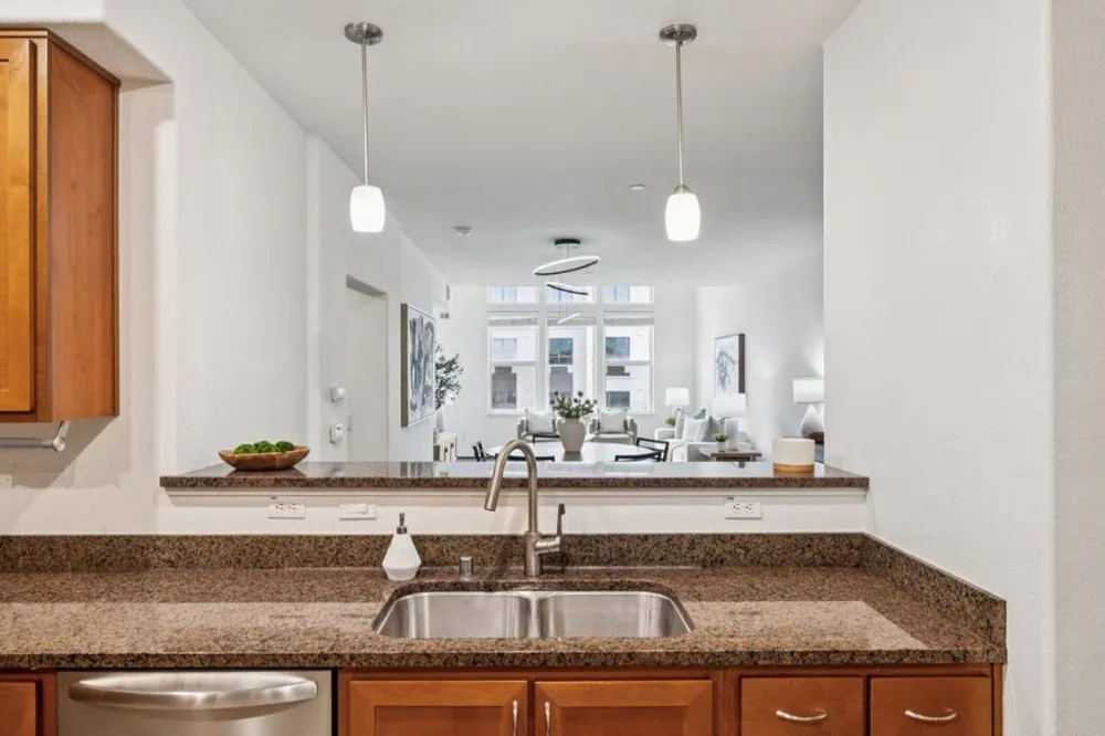 1388 Broadway #483 Millbrae, CA 94030