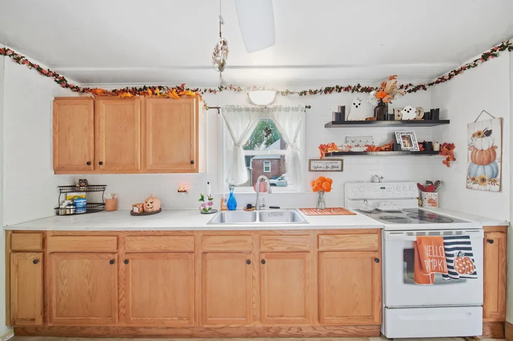 111 Greenleaf Street Onsted, MI 49265