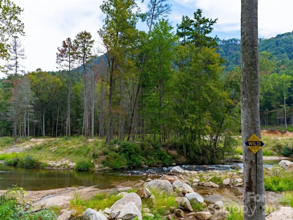 3050 Green River Cove Road Saluda, NC 28773