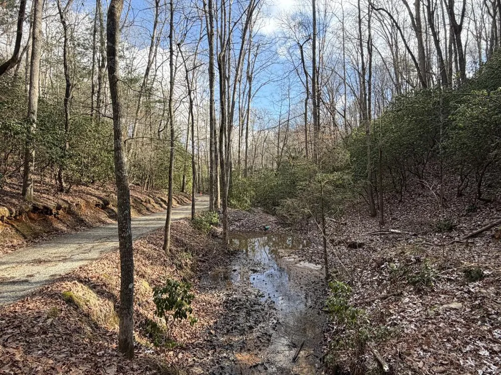 636 Bear Paw Trail Blue Ridge, GA 30513