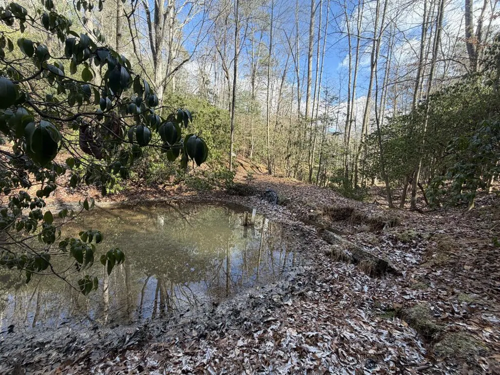 636 Bear Paw Trail Blue Ridge, GA 30513
