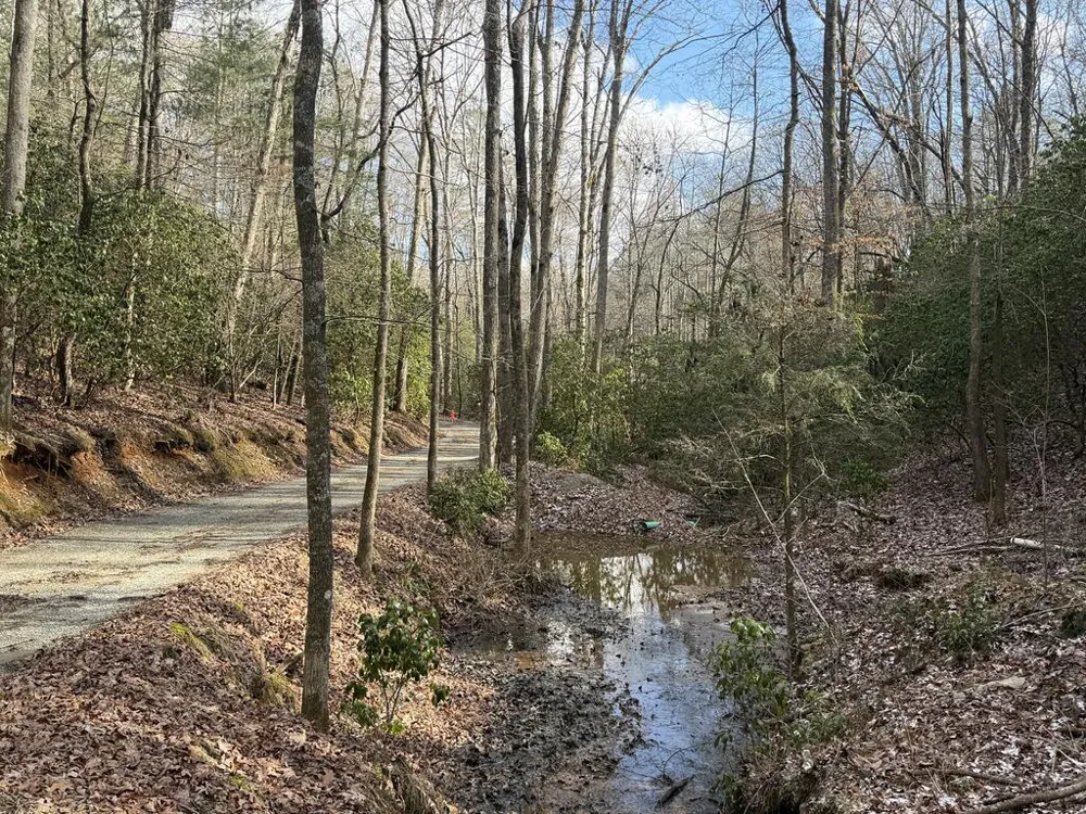 636 Bear Paw Trail Blue Ridge, GA 30513