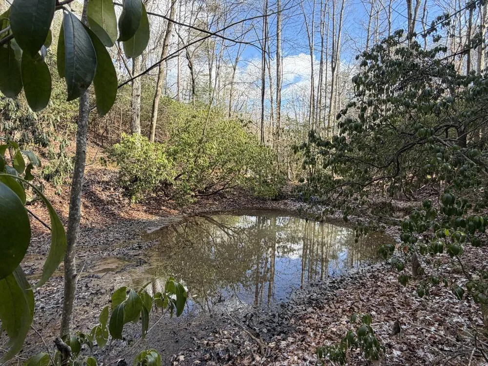 636 Bear Paw Trail Blue Ridge, GA 30513