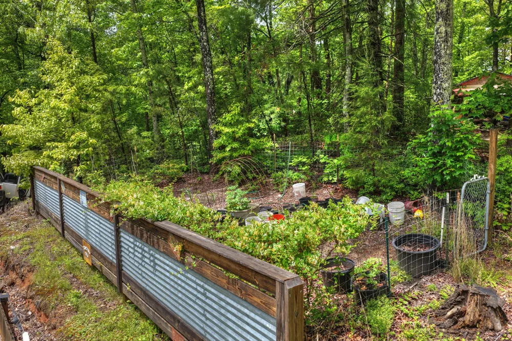 636 Bear Paw Trail Blue Ridge, GA 30513