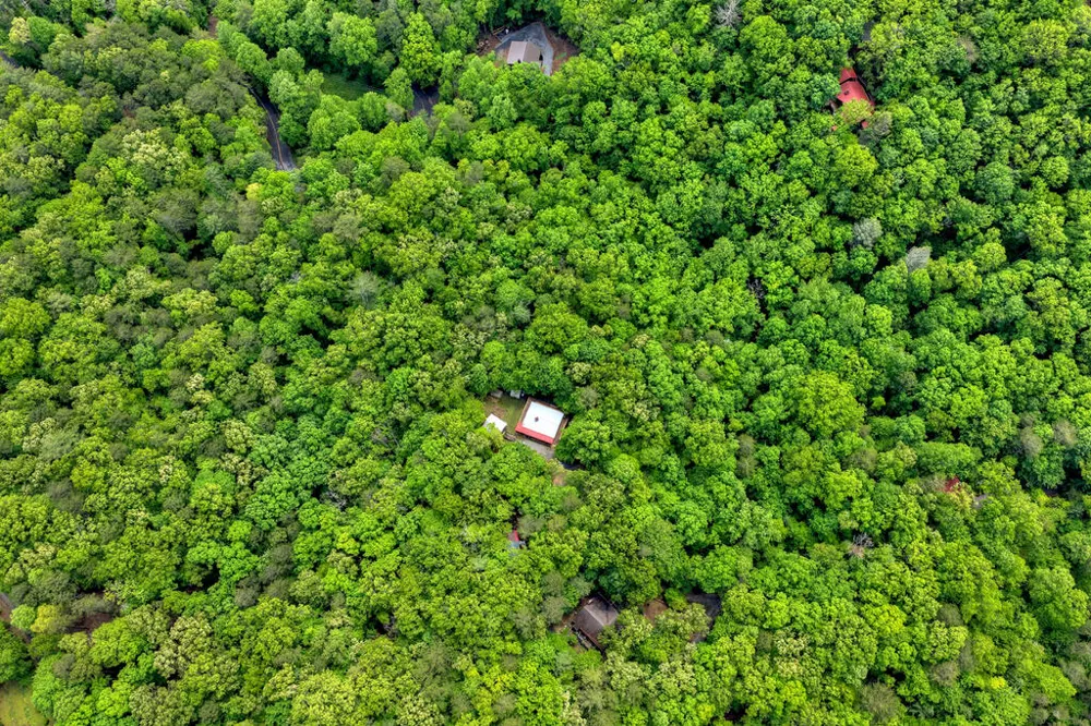 636 Bear Paw Trail Blue Ridge, GA 30513