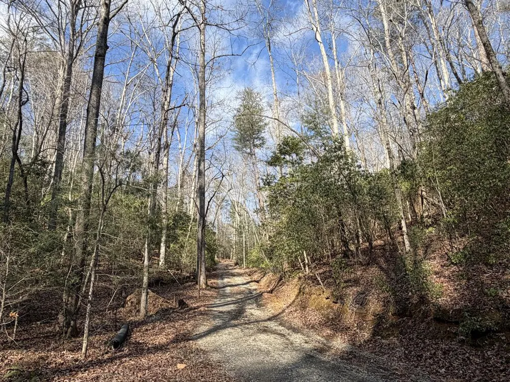 636 Bear Paw Trail Blue Ridge, GA 30513