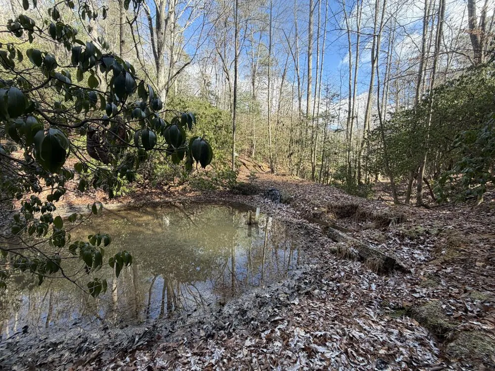 636 Bear Paw Trail Blue Ridge, GA 30513