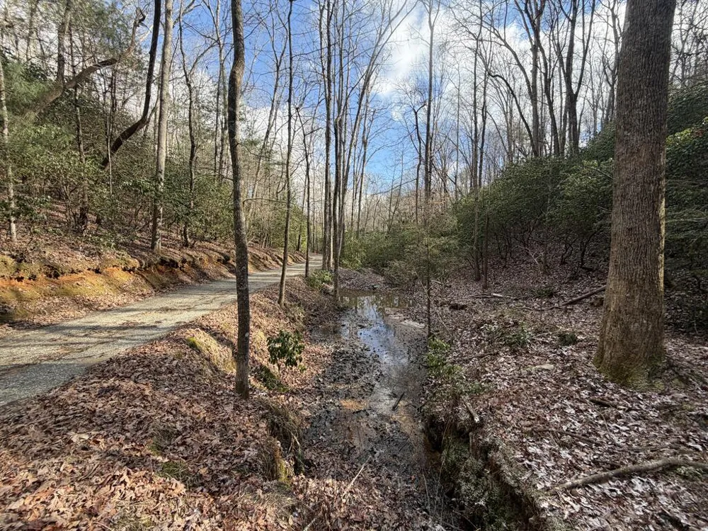 636 Bear Paw Trail Blue Ridge, GA 30513