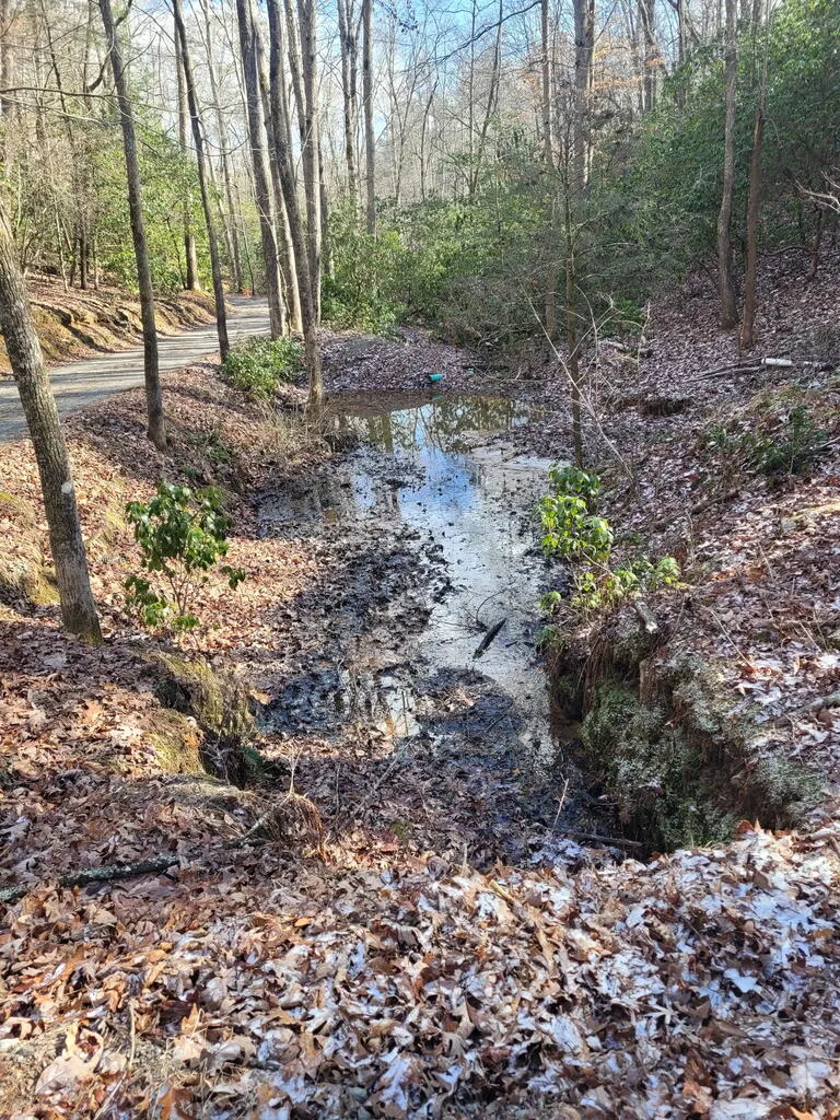 636 Bear Paw Trail Blue Ridge, GA 30513