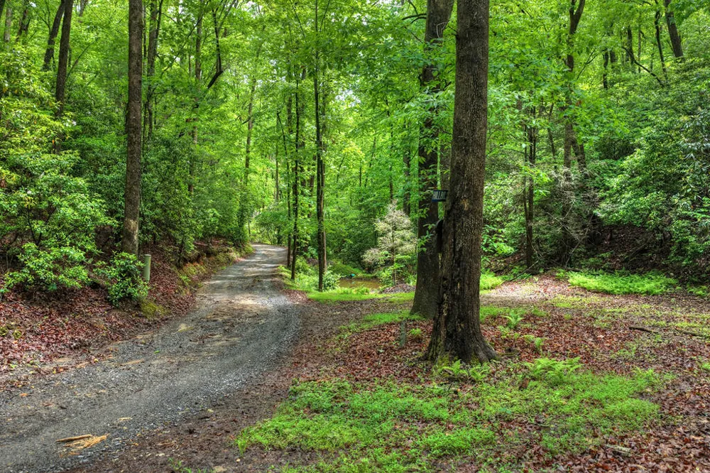 636 Bear Paw Trail Blue Ridge, GA 30513