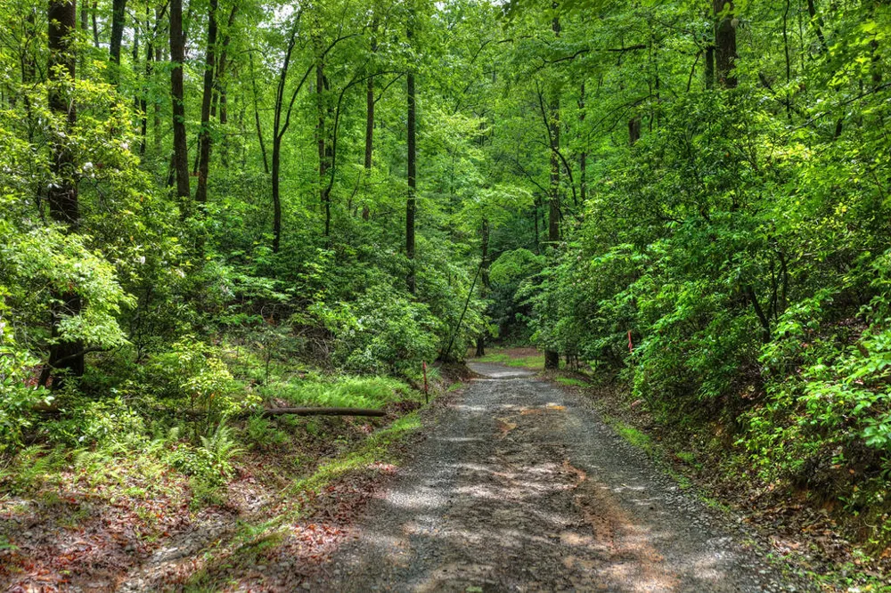 636 Bear Paw Trail Blue Ridge, GA 30513