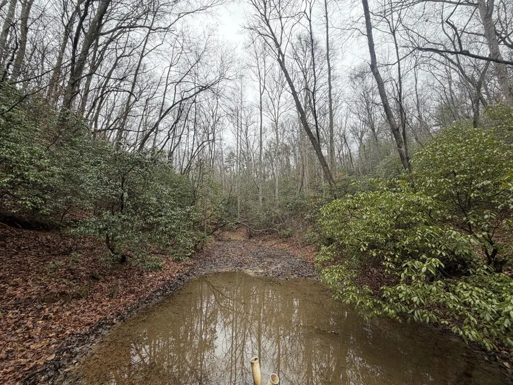636 Bear Paw Trail Blue Ridge, GA 30513