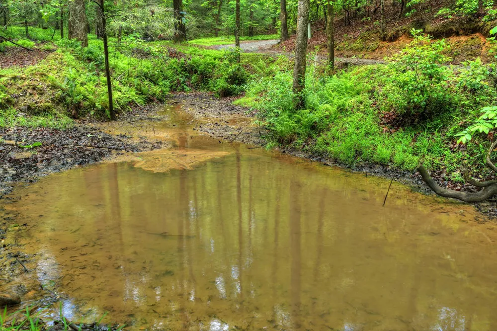 636 Bear Paw Trail Blue Ridge, GA 30513