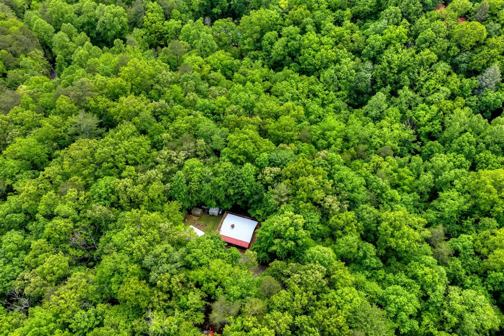 636 Bear Paw Trail Blue Ridge, GA 30513