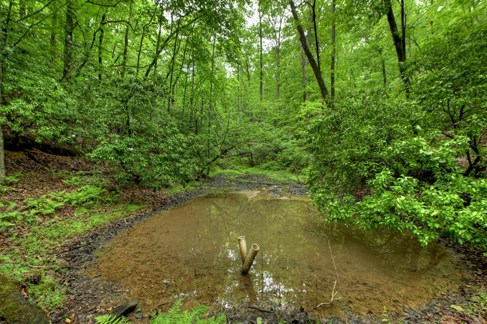 636 Bear Paw Trail Blue Ridge, GA 30513