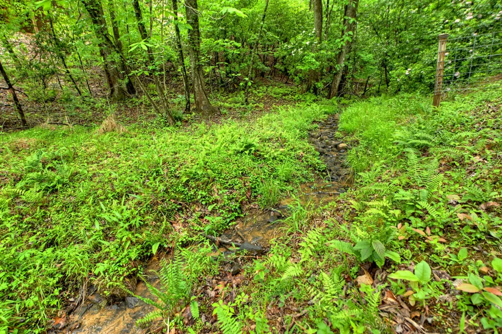 636 Bear Paw Trail Blue Ridge, GA 30513