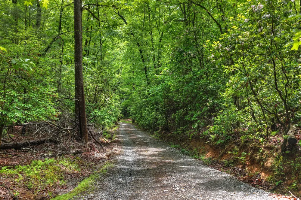 636 Bear Paw Trail Blue Ridge, GA 30513