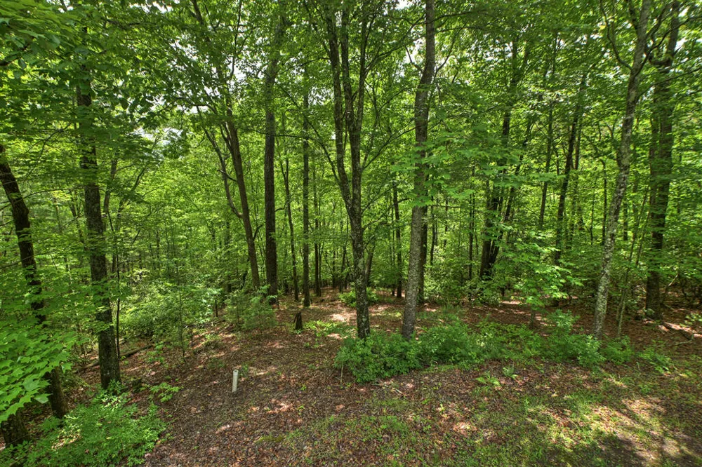 636 Bear Paw Trail Blue Ridge, GA 30513