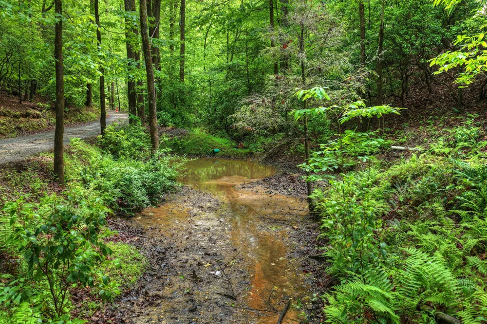 636 Bear Paw Trail Blue Ridge, GA 30513