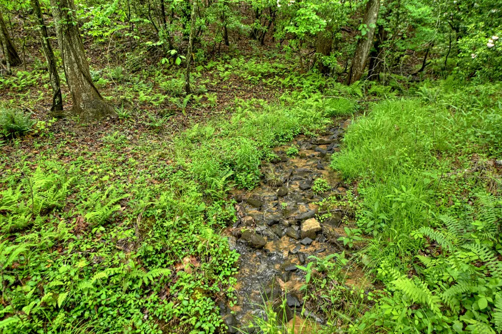 636 Bear Paw Trail Blue Ridge, GA 30513