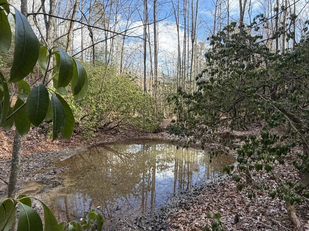 636 Bear Paw Trail Blue Ridge, GA 30513