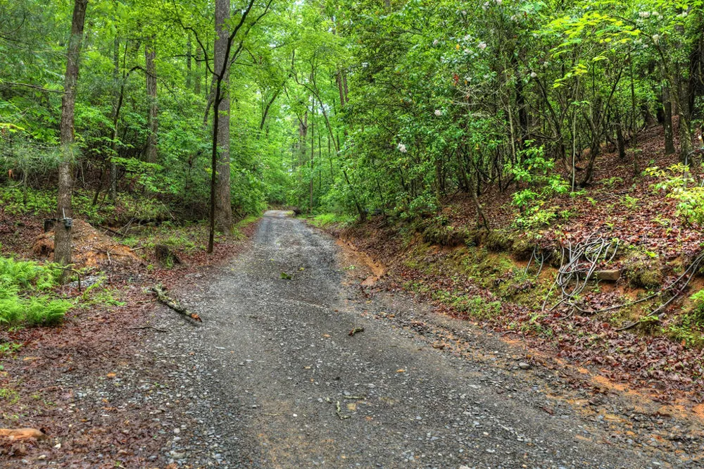 636 Bear Paw Trail Blue Ridge, GA 30513