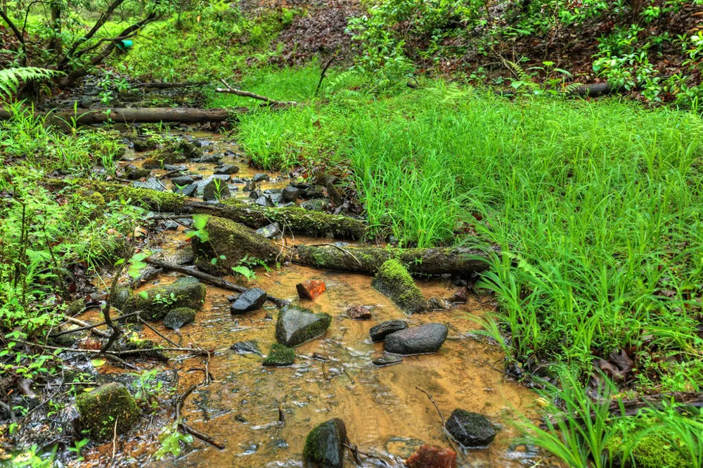636 Bear Paw Trail Blue Ridge, GA 30513