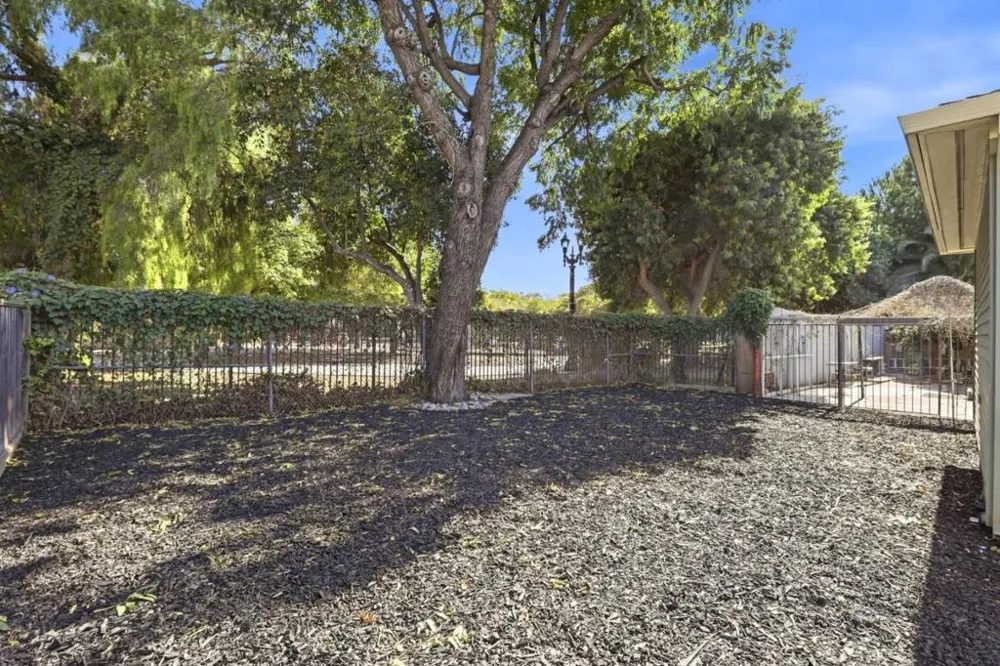 66 Fox Avenue #2 San Jose, CA 95110