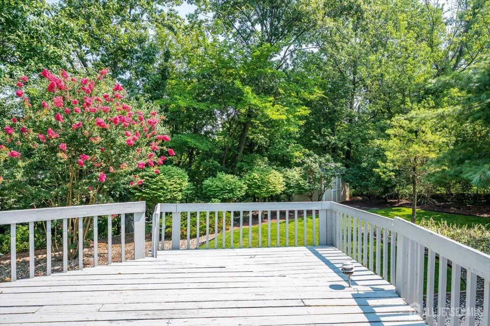 560 Wakefield Drive Metuchen, NJ 08840