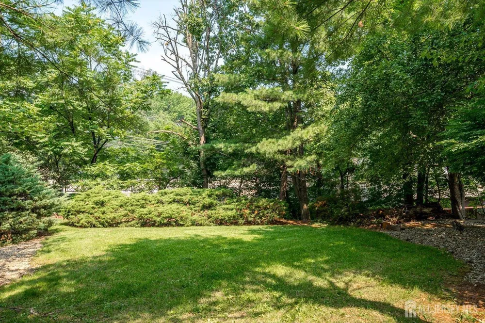 560 Wakefield Drive Metuchen, NJ 08840
