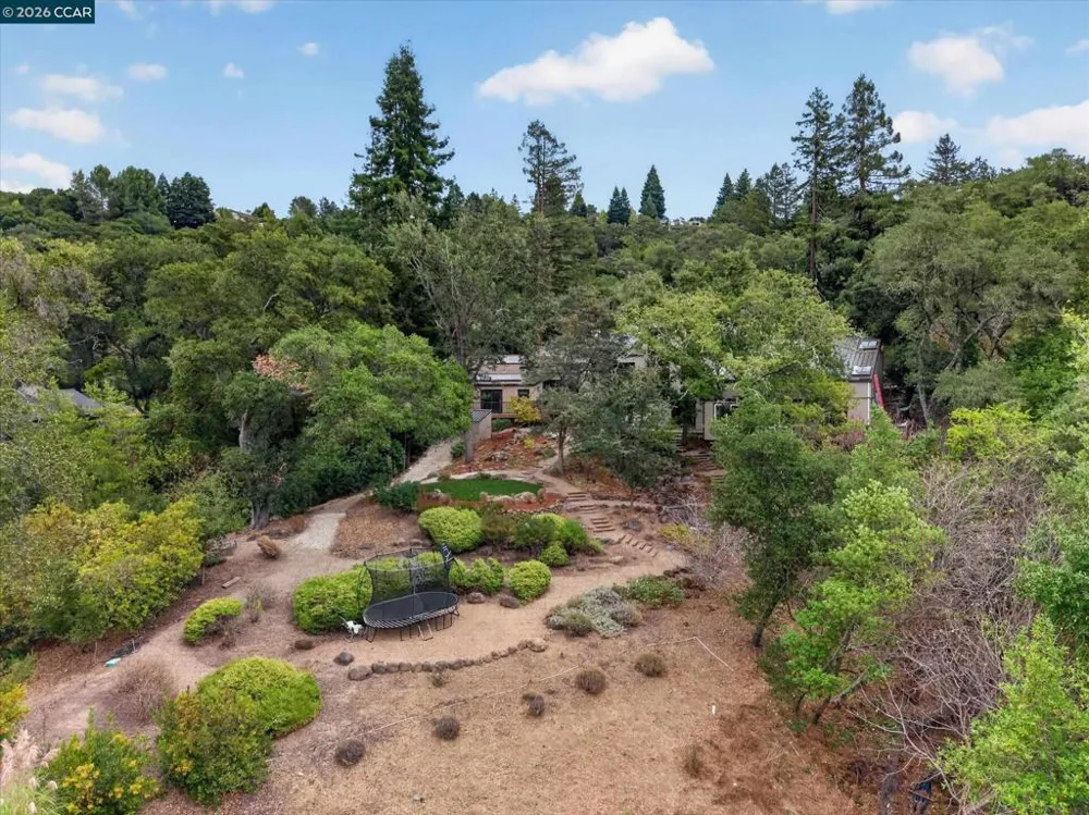 691 Old Jonas Hill Rd Lafayette, CA 94549