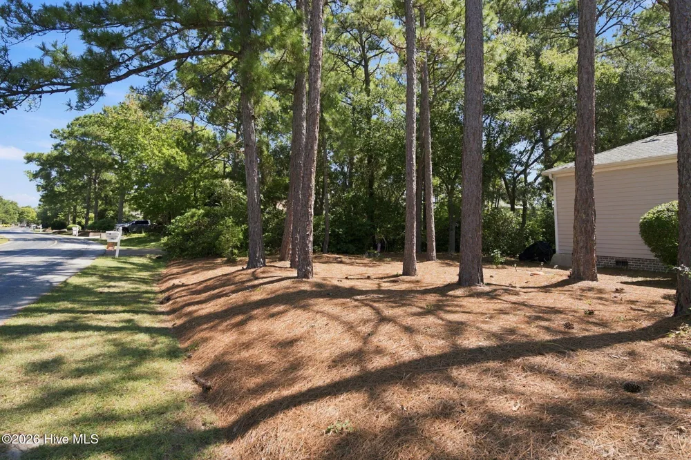 4404 Dragonfly Court SE Southport, NC 28461