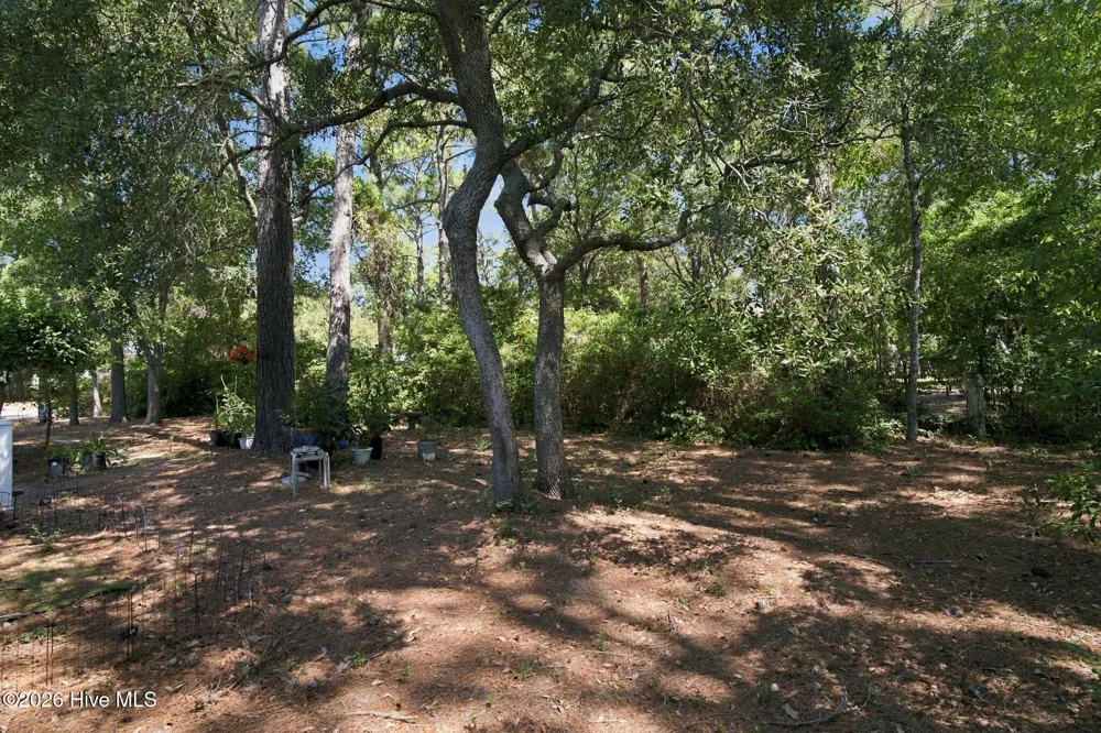 4404 Dragonfly Court SE Southport, NC 28461
