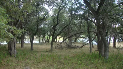 6703 Bar K Ranch Road