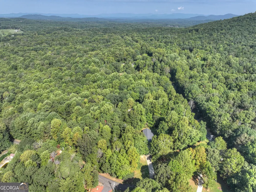 46 White Oak DR Talking Rock, GA 30175