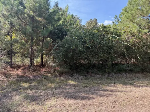 Deer Trail