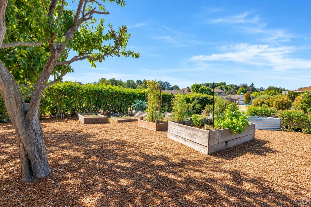 172 Clearview Court Petaluma, CA 94952